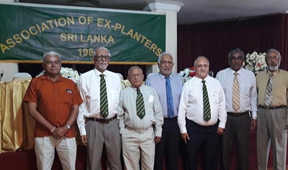 gallery slider image