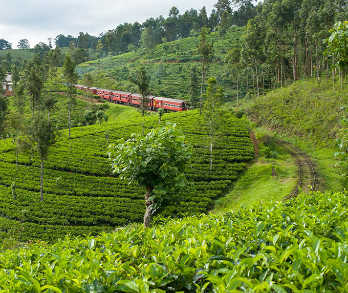 main section side image